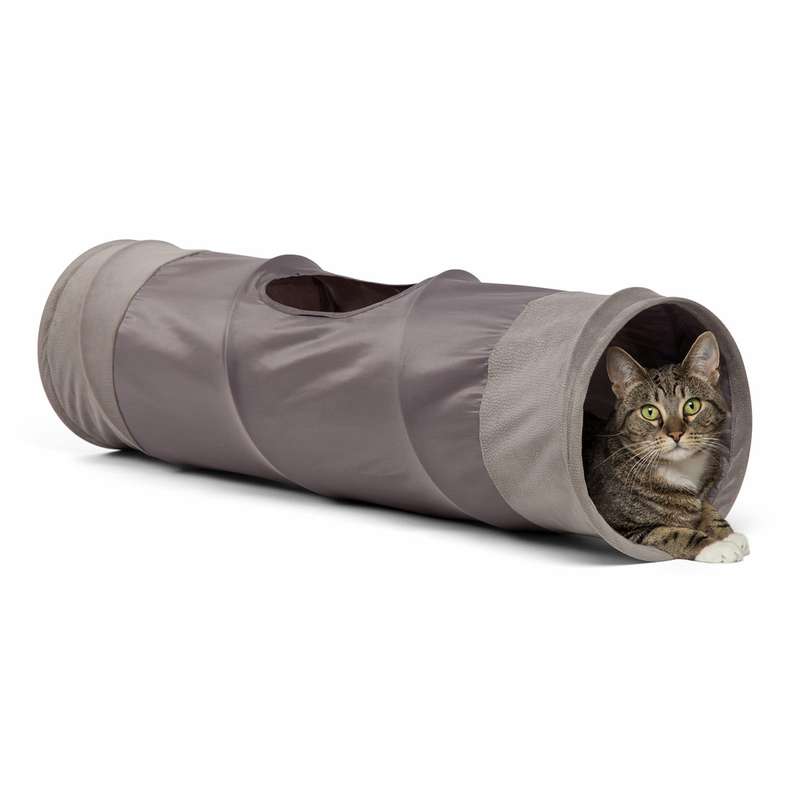 Best Friends by Sheri Cat Tunnel Ilan