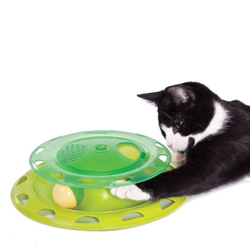 Catnip Chaser