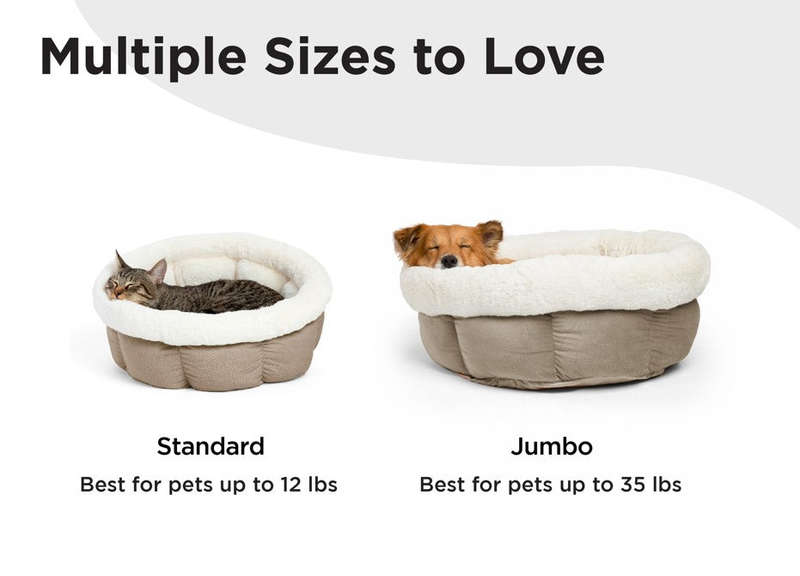 Best Friends by Sheri Cuddle Cup Ilan Dog & Cat Bed