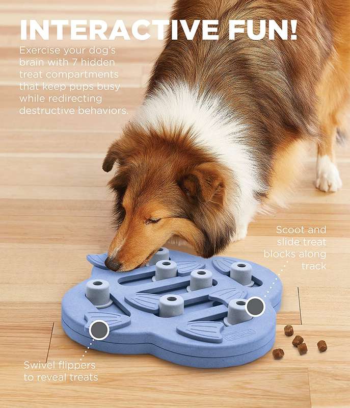 Nina Ottosson Dog Hide 'n Slide Purple