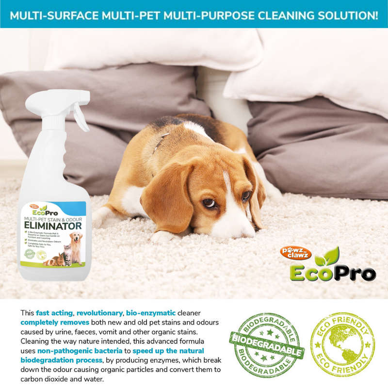 EcoPro Stain & Odour Eliminator - BUY 3 & GET 1 FREE!