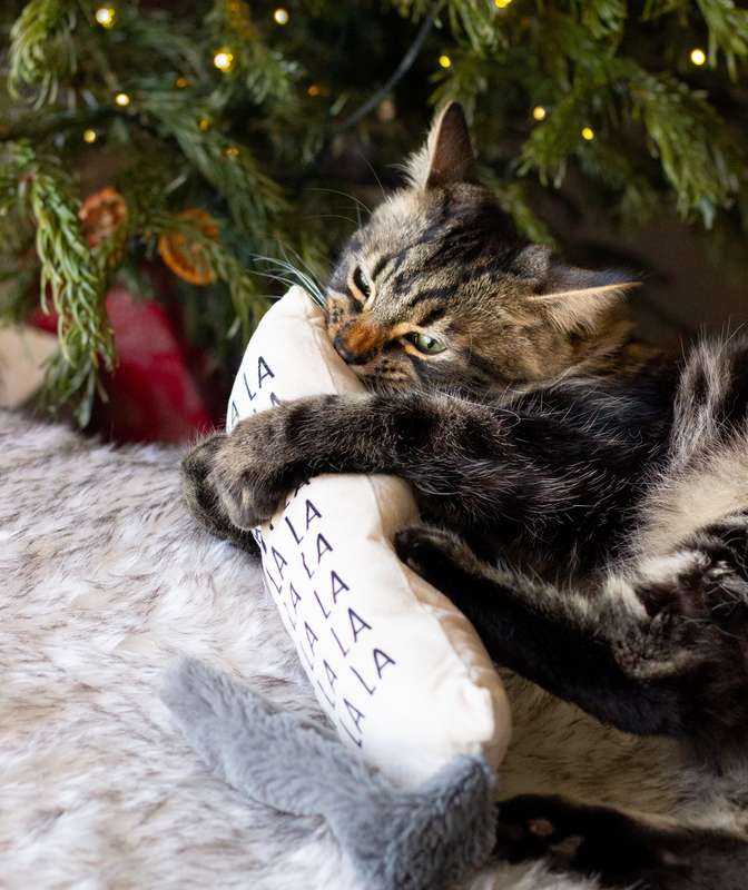 Fa La La Cat Kicker