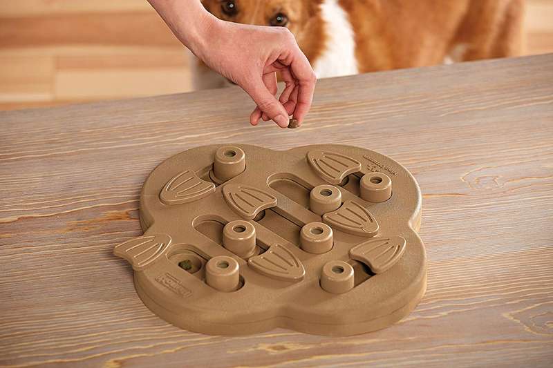 Nina Ottosson Dog Hide 'n Slide Composite