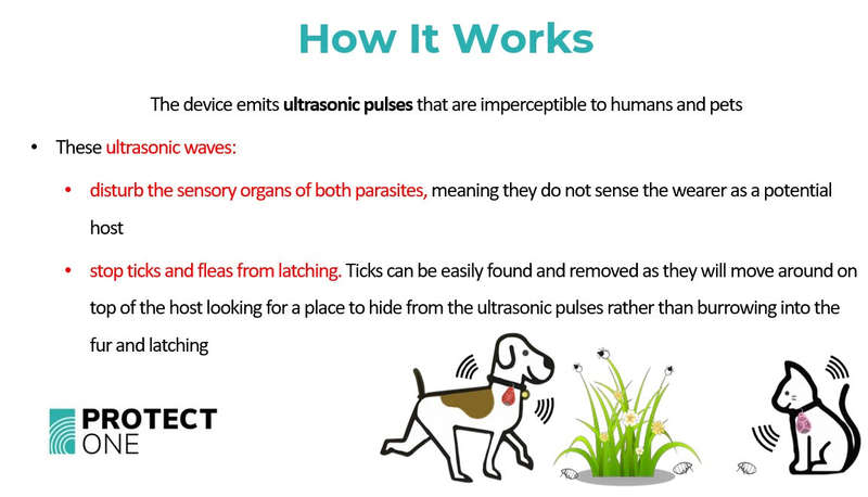 Tickless Pet