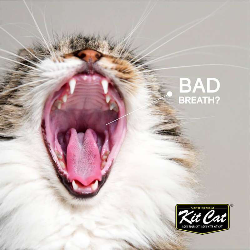 Kit Cat BreathBites (60g)