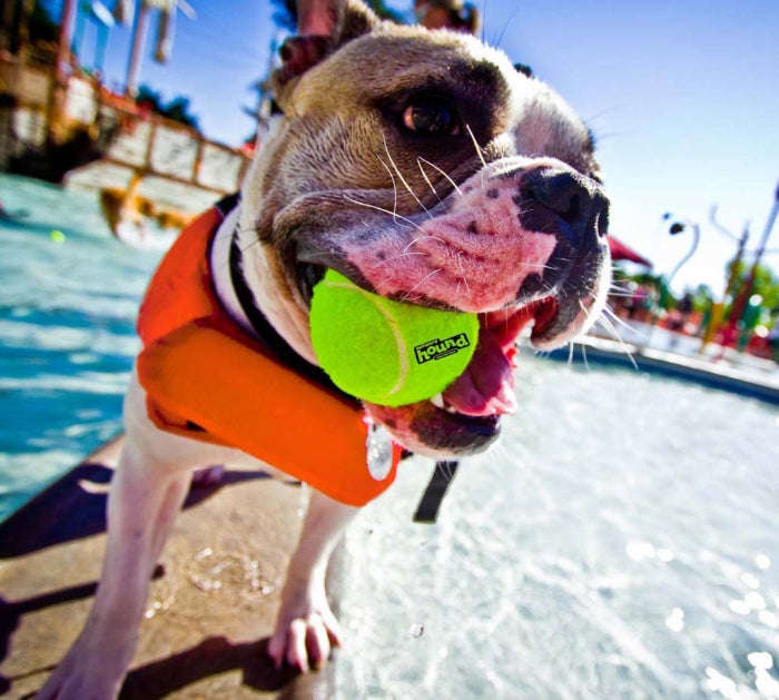 Ripstop Orange Life Jackets