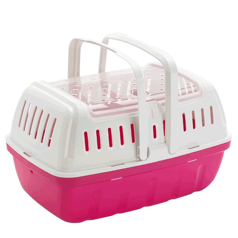 Hipster Carrier