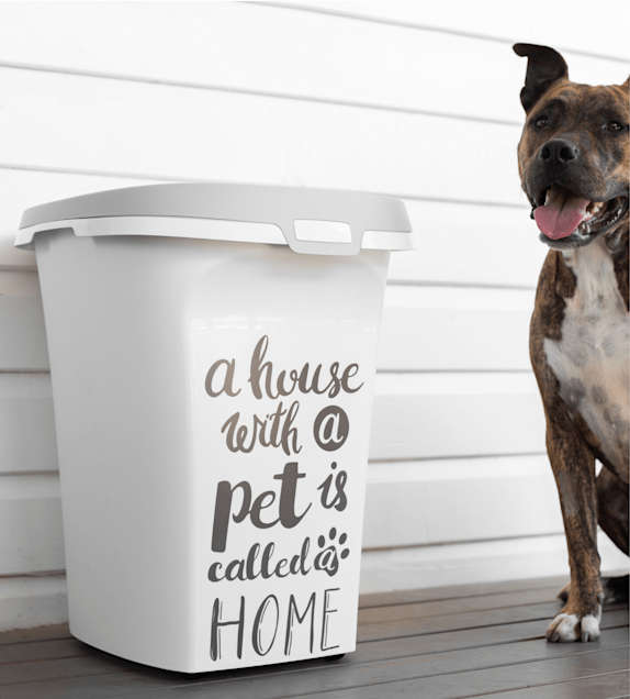 Trendy Story Pet Wisdom Container