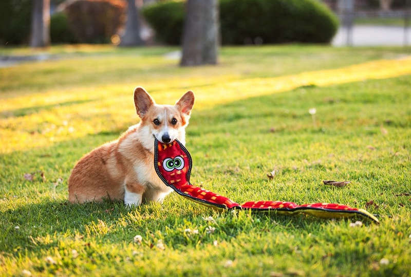 Tough Seamz Snake 6 squeaker