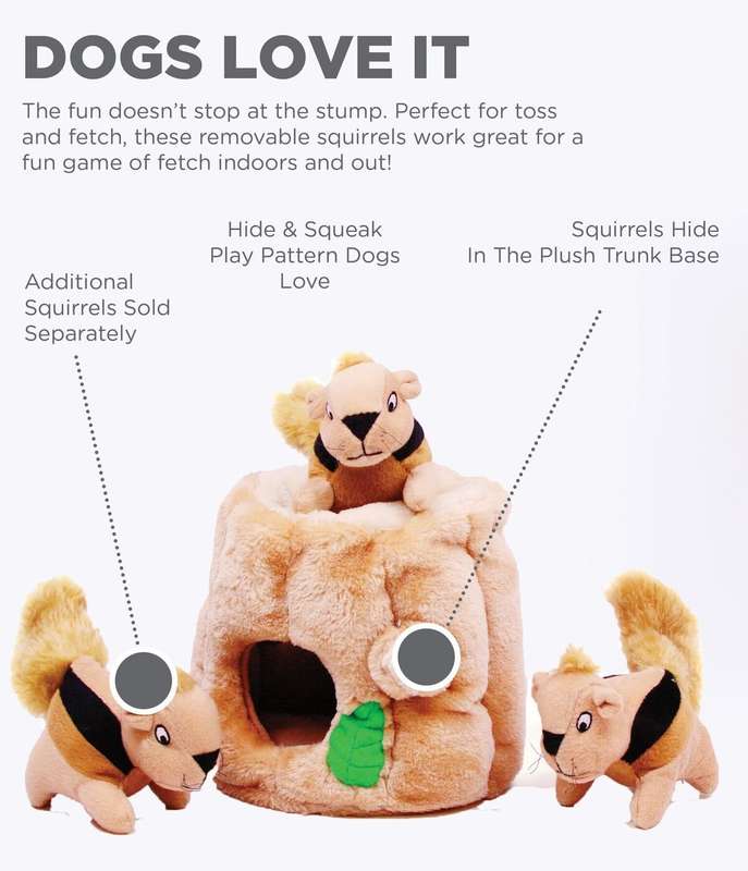 Outward Hound Hide-A-Squirrel