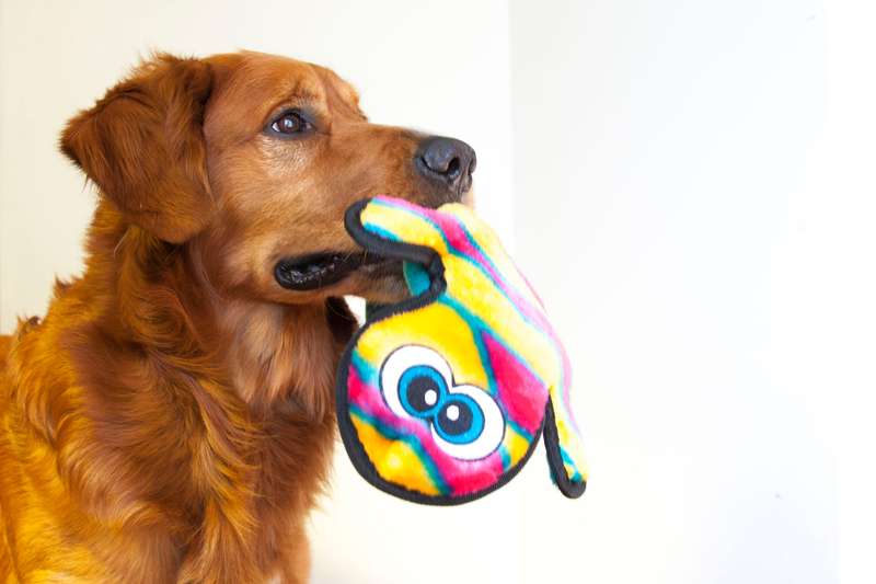 Outward Hound Invincible Gecko 2 sqk Orange/Pink