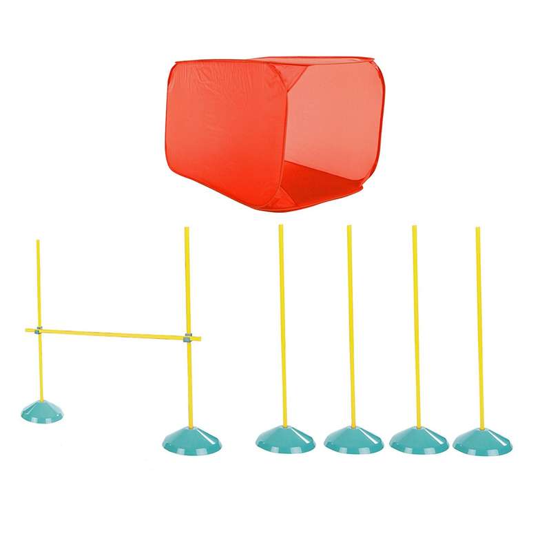 Outward Hound ZipZoom Indoor Agility Kit