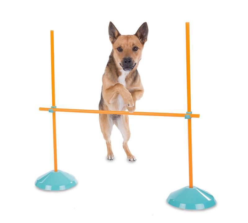 Outward Hound ZipZoom Indoor Agility Kit