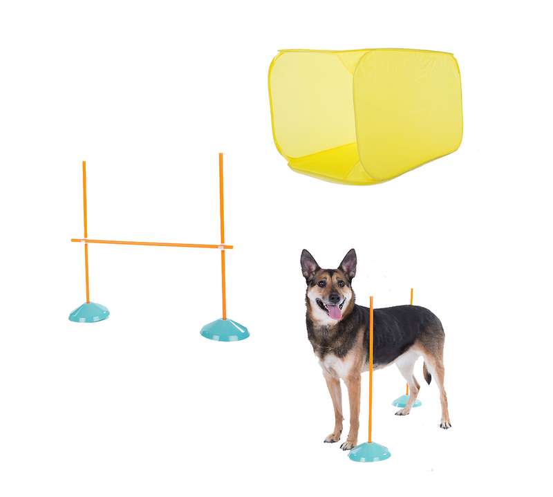 Outward Hound ZipZoom Indoor Agility Kit