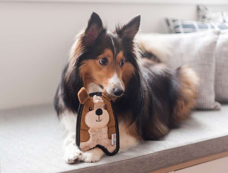 Outward Hound Invincibles Mini Puppy