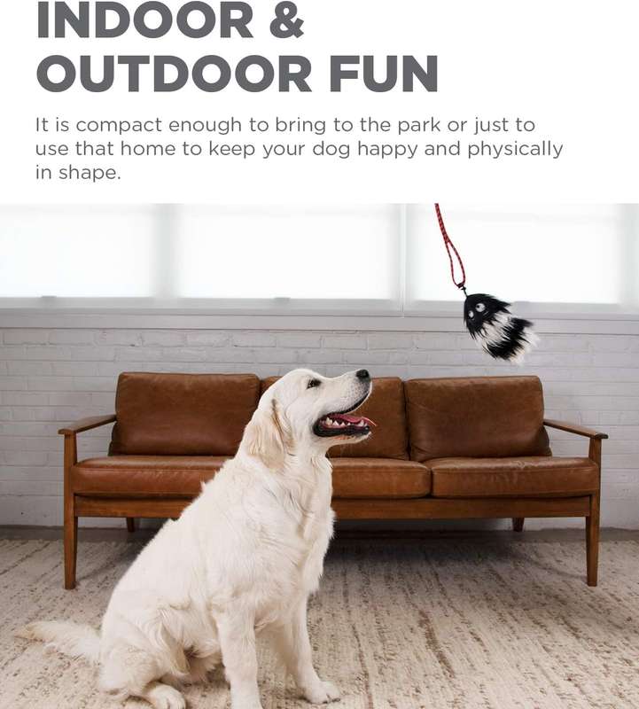 Outward Hound Tail Teaser Wand