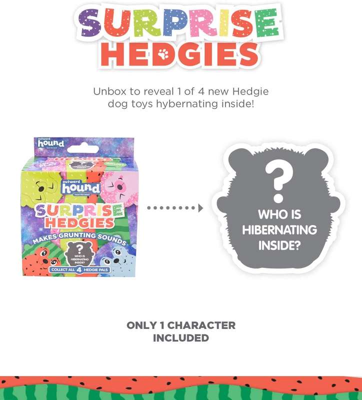 Surprise Hedgies Ast
