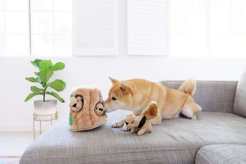 Outward Hound Hide-A-Squirrel