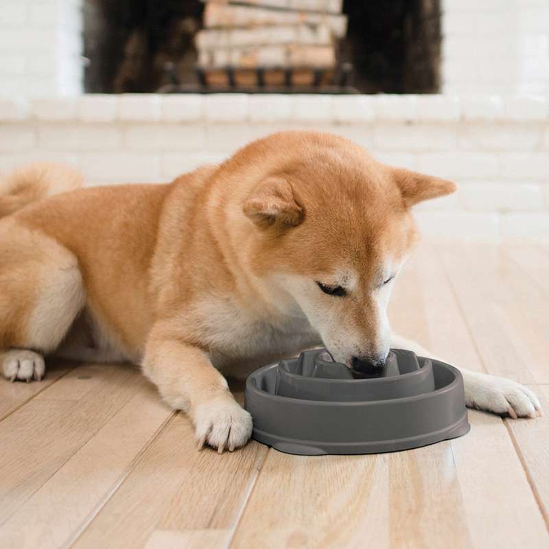 Outward Hound Fun Feeder Grey