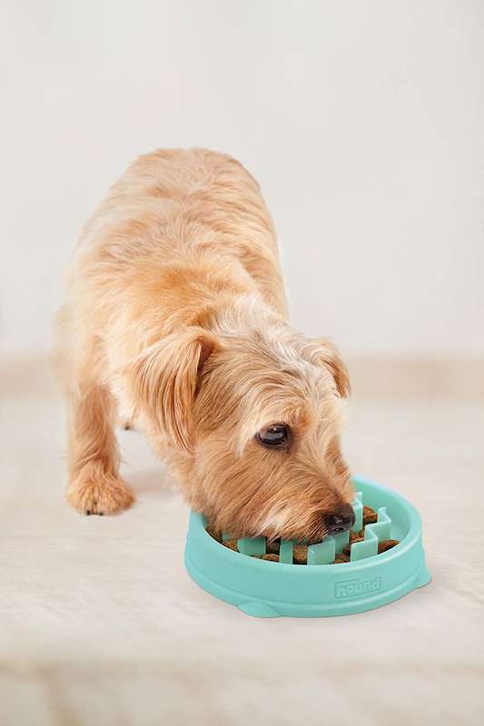 Outward Hound Fun Feeder Tiny