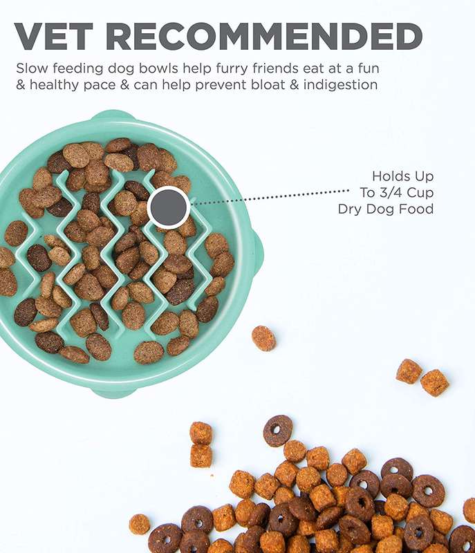 Outward Hound Fun Feeder Tiny