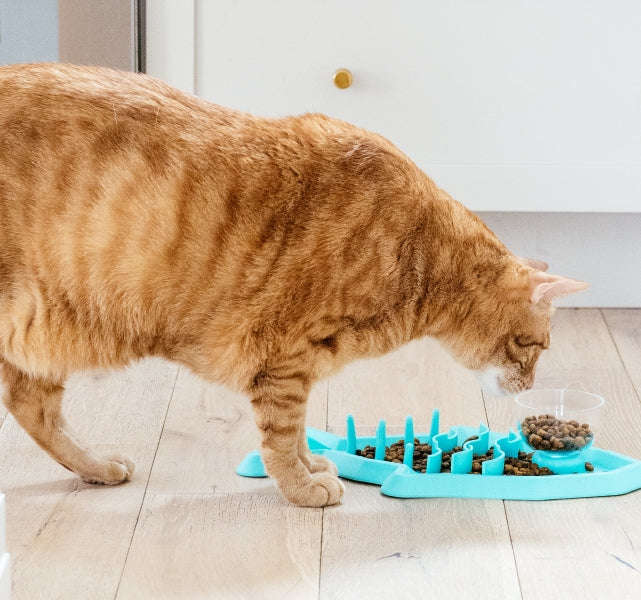 Outward Hound Cat Hunt 'n Snack Mat