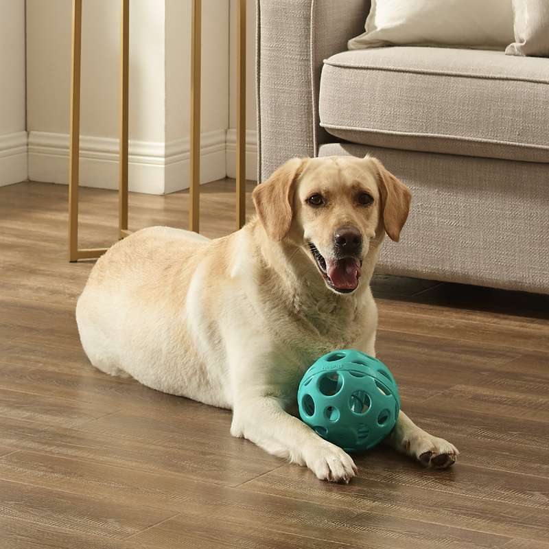 Squeakin' Holey Moley Dog Ball Stuffable Fetch Toy