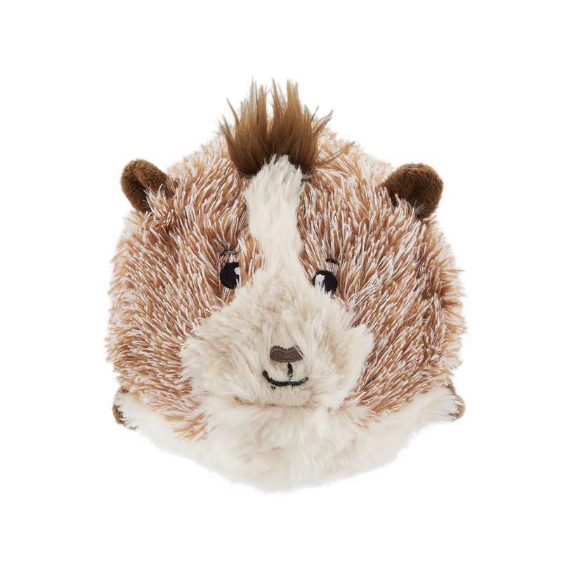 Jumbros Guinea Pig