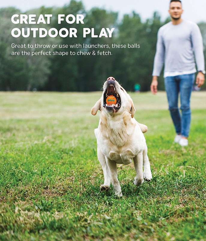 Outward Hound Squeaker Ballz
