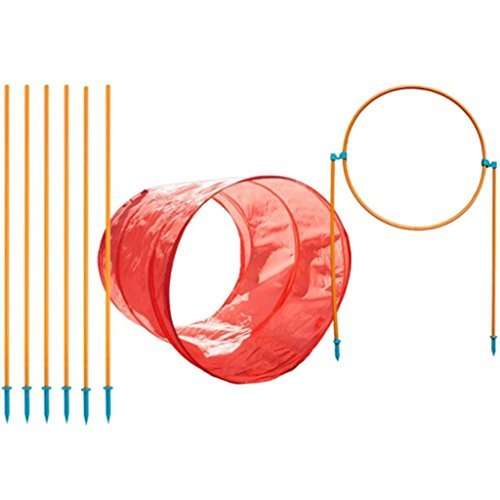 Outward Hound ZipZoom Outdoor Agility Kit