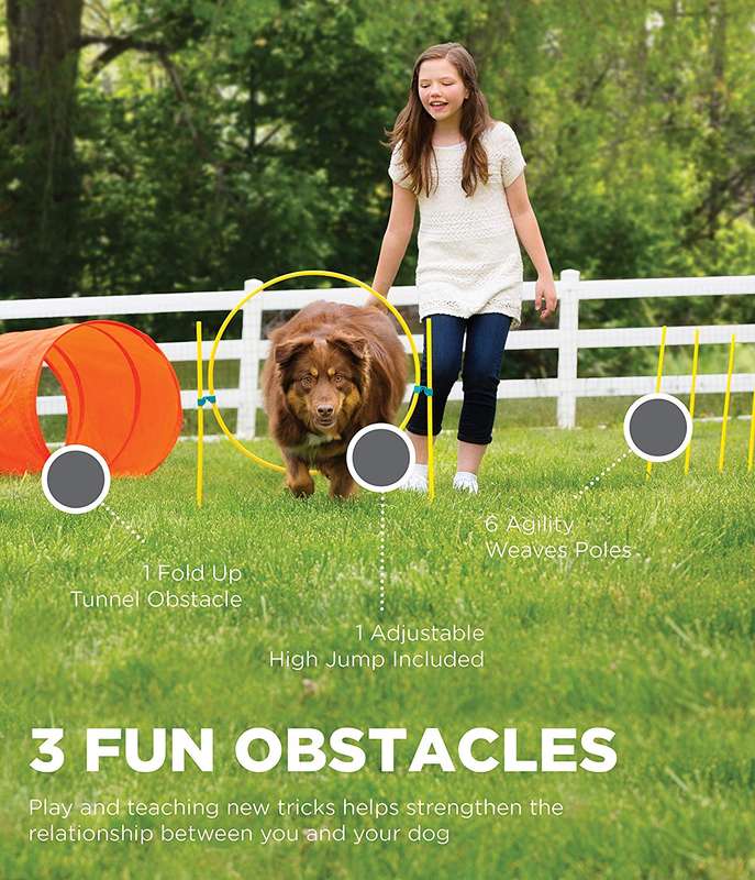 Outward Hound ZipZoom Outdoor Agility Kit