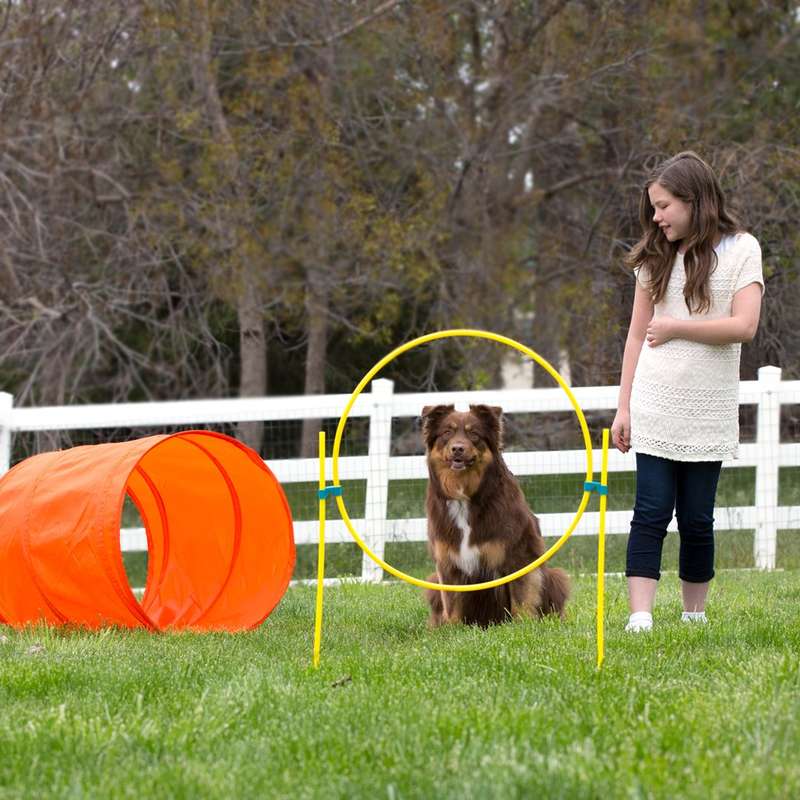 Outward Hound ZipZoom Outdoor Agility Kit