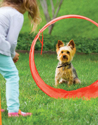 Outward Hound ZipZoom Outdoor Agility Kit
