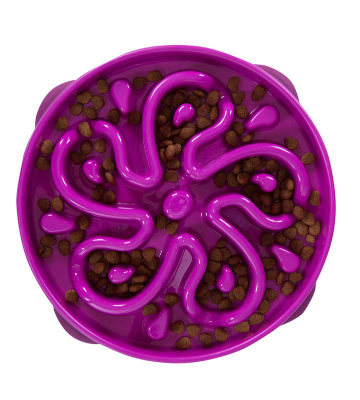 Outward Hound Fun Feeder Purple