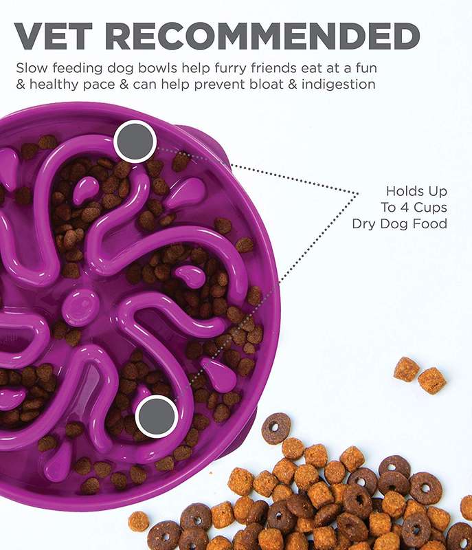 Outward Hound Fun Feeder Purple