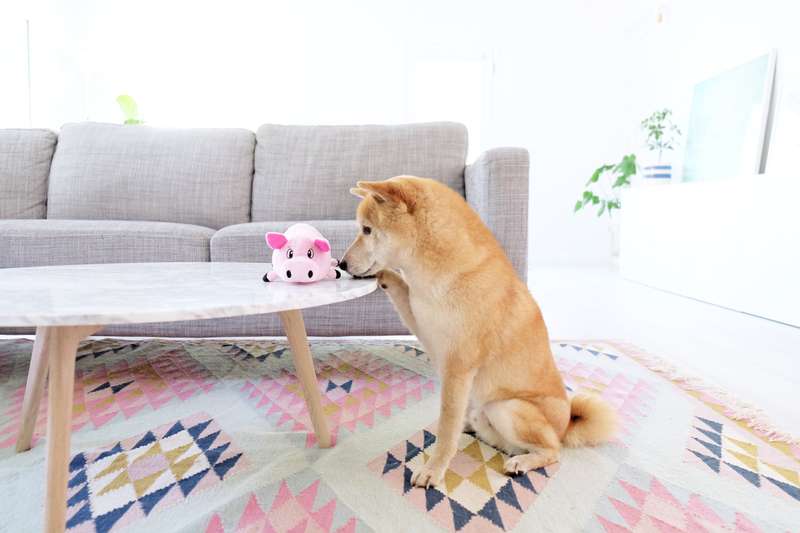Outward Hound Fattiez Pig