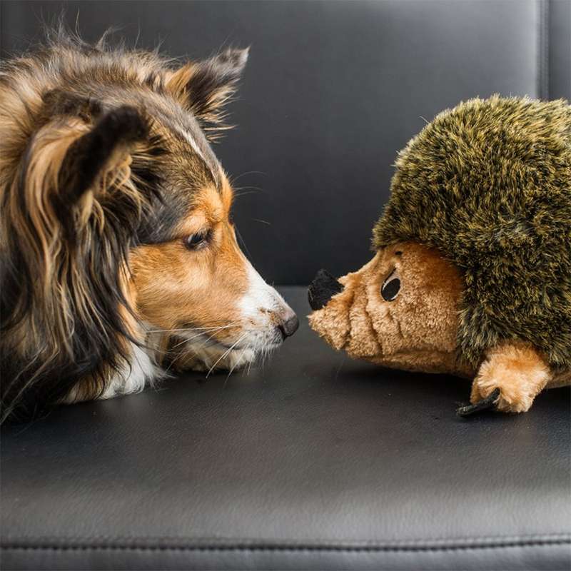 Outward Hound Hedgehogz
