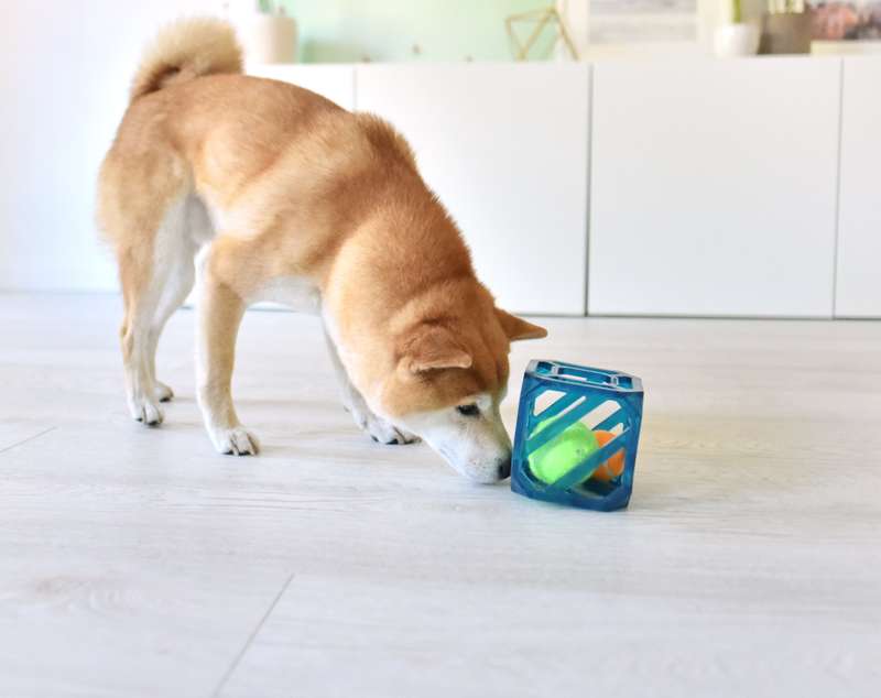Puzzle Cube