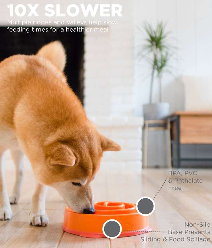 Outward Hound Fun Feeder Orange