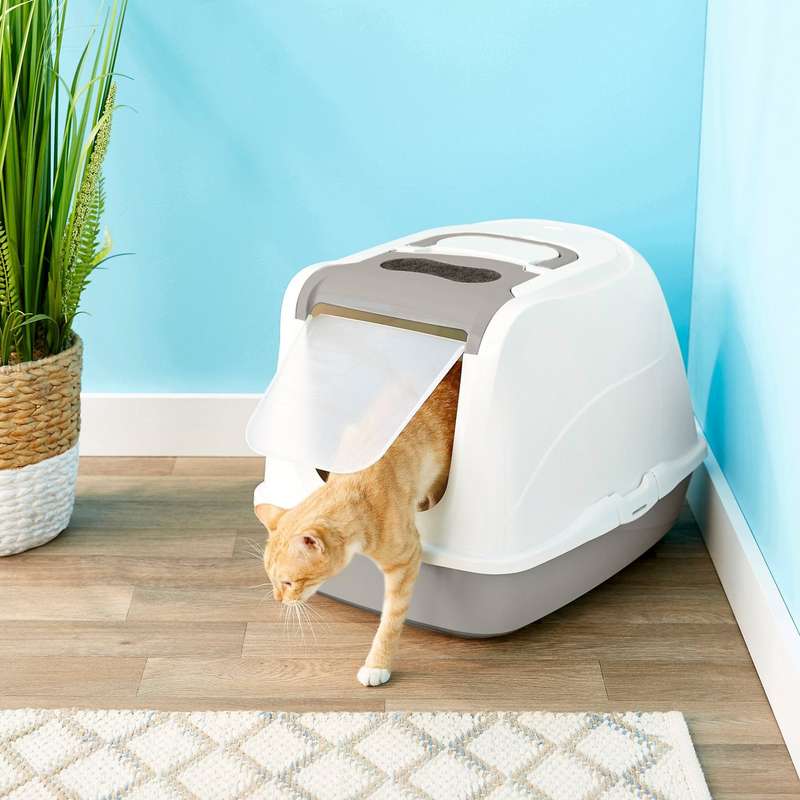 Flip Cat Toilet