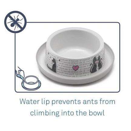 Trendy Dinner Bowl