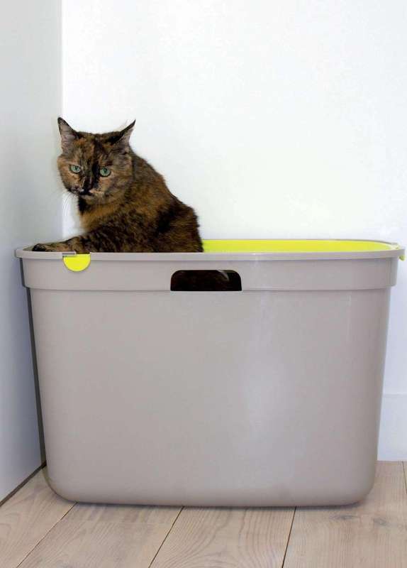 Top Cat Toilet
