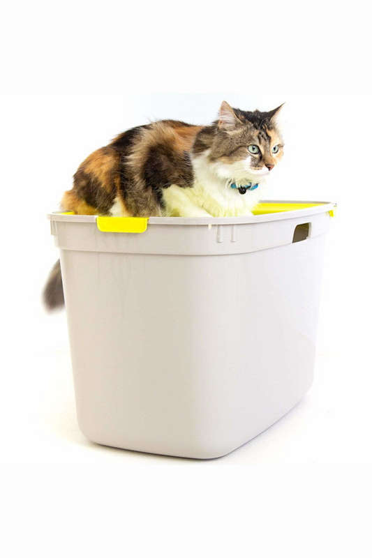 Top Cat Toilet