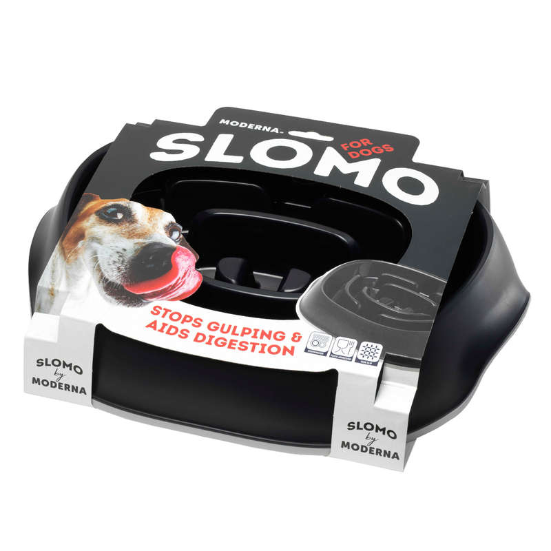 Moderna Slomo