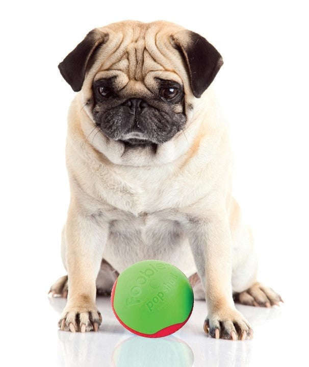 L'Chic Foobler Pop Shot Green & Red