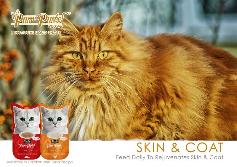 Purr Puree Plus+ (4 x 15g)