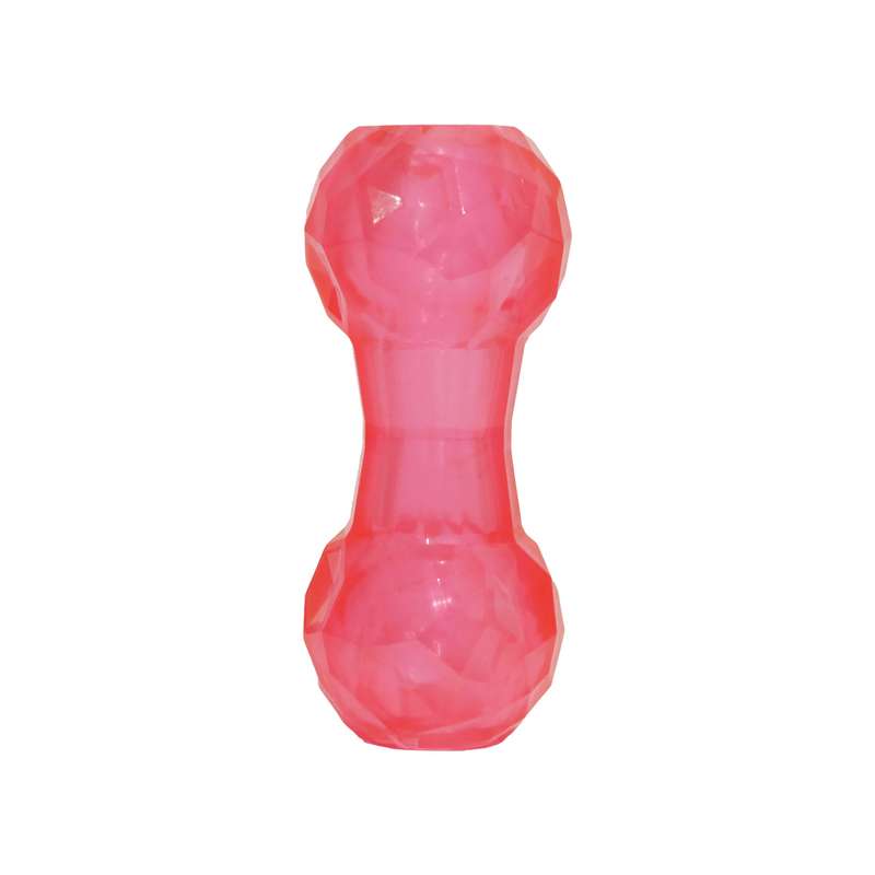 BioSafe Puppy Treat Dumbbell