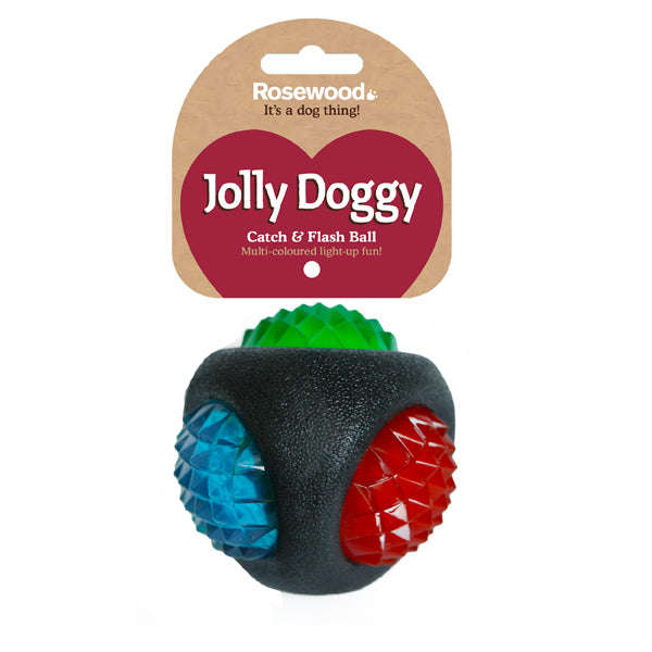 Jolly Doggy Catch & Flash Ball