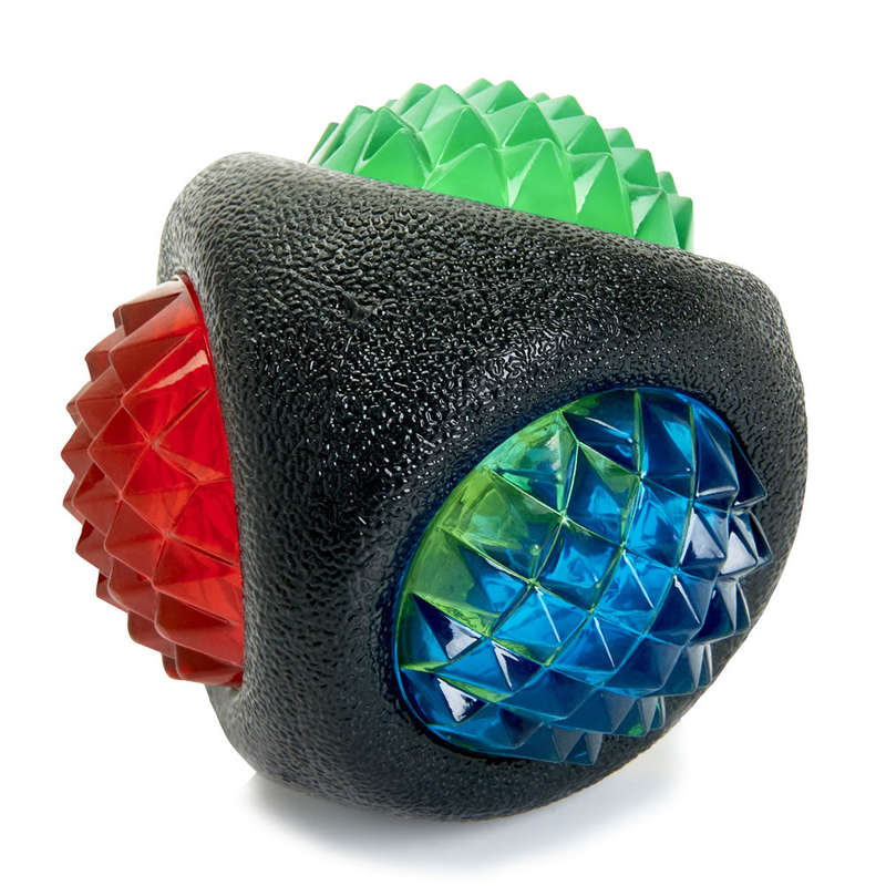 Jolly Doggy Catch & Flash Ball