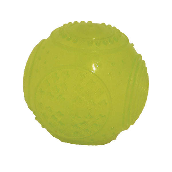 Jolly Doggy Glow in the Dark Ball